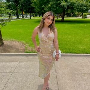 Cinderella divine